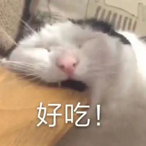 搞笑表情包拿图片哈哈哈哈,笑得停不下来了