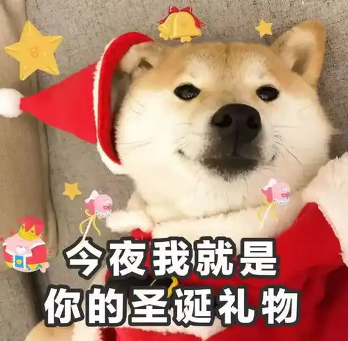 都说圣诞要收礼物,来胡桃里你的礼物我包了