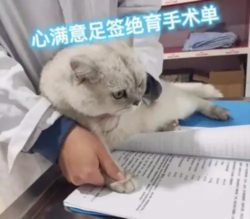 你在食堂做过哪些搞笑的事情女大学生的做法简直了哈哈