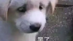 萌新的游戏体验这辆车叫拉古改名叫拉跨吧实况解说01