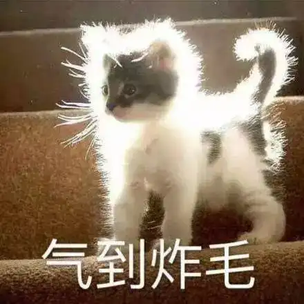 还有雪注意了,还有大风