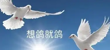 妈妈我会在夏天开放吗表情包大全