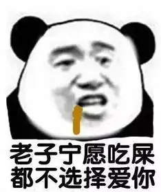 熊猫头怼人表情包不记得你是谁了,我去搜狗找一下