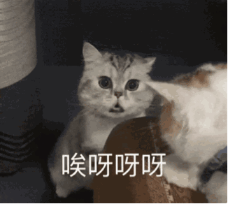 魔王晒清凉美照,957因为喊老公没感情被冲