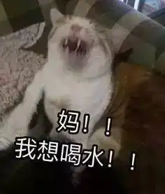 孩子上学后,80后爸妈晚上在卧室里偷偷干嘛