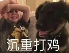 我要炸了表情包图片大全
