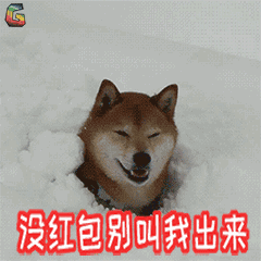 2018狗年拜年要红包gif系列图片2018狗年拜年要红包动图表情包下载乐游网游戏下载