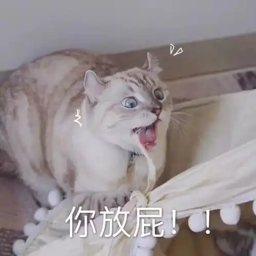 今天朋友圈都在晒自己18岁的照片