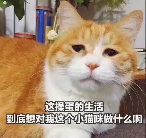 4.3广州飞清迈准备玩78天,4.5在飞曼谷,在芭提...