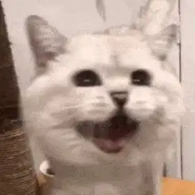 猫咪阴阳怪气表情包你不爱我对不对