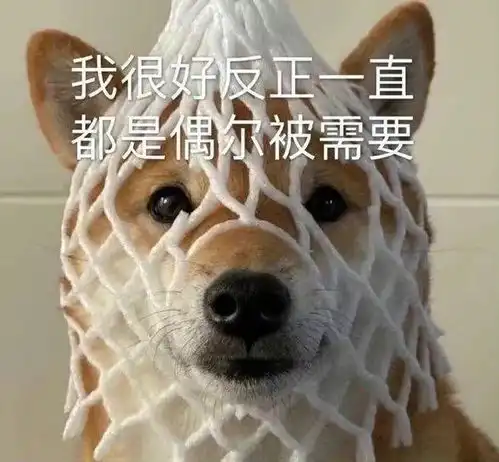 e句话卖明星签名照,竟然认不出本人