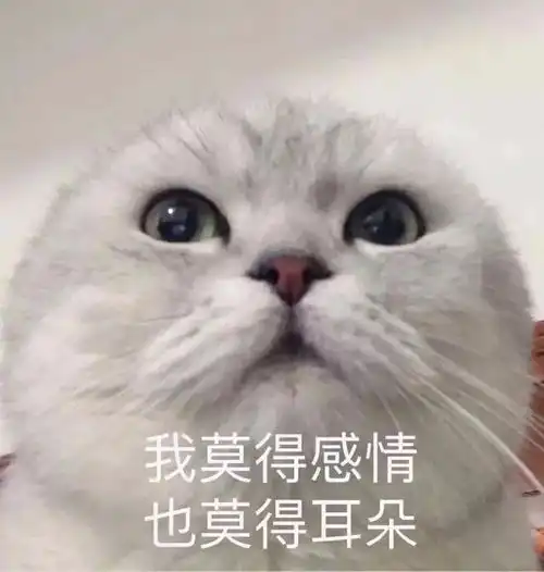 表情包宝贝可以亲亲吗