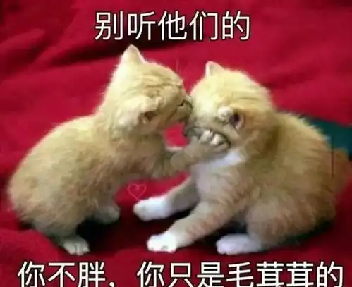 别再问我大学四年怎么过啦