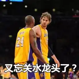 即便还有第二个科比,我们也没有第二个青春可追了