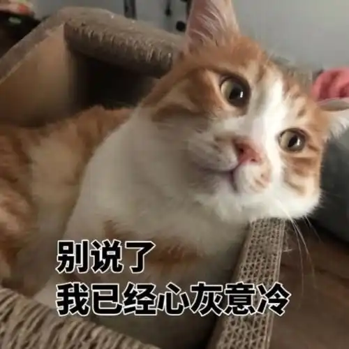 被自己写的小甜文甜到是一种什么体验