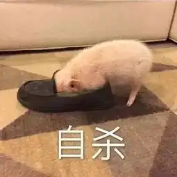 史上最尬的7大玛丽苏偶像剧套路,到底是我脑残还是剧脑残