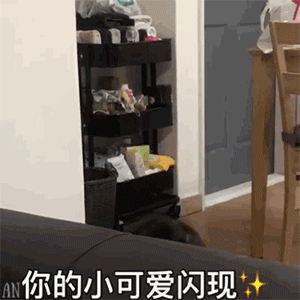 沙雕冲浪达人一定要存的表情包