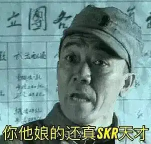 突然很火的skr究竟是个什么东西