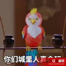 楚乔传鹦鹉是什么来历和品种楚乔传鹦鹉表情包盘点