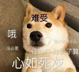 小柴犬的表情包来个热吻吗宝贝儿