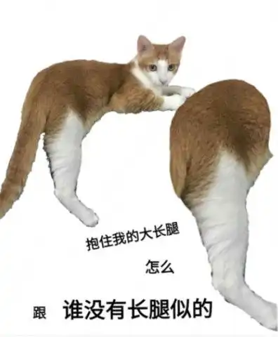 猫系沙雕表情包,可爱又捧腹大笑,斗图够沙雕
