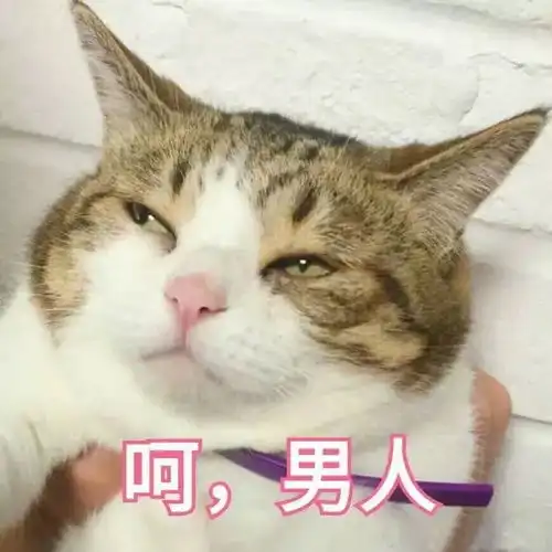 最近很火的22条搞笑说说,你有看到过几条