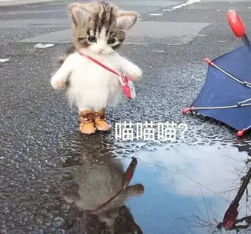 我的收藏