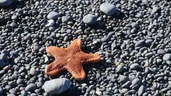 海上生活