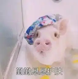 女孩想变美逆袭先来看看这40条变美小技巧