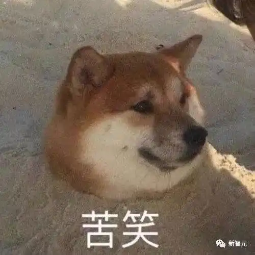 硅谷大厂寒气逼人,北美高校却火爆论堆招人