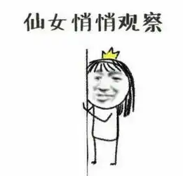 仙女第二波