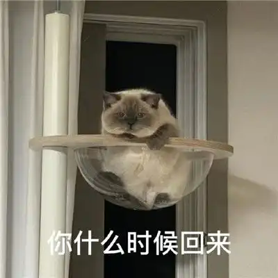 抖音完了芭比q了表情包