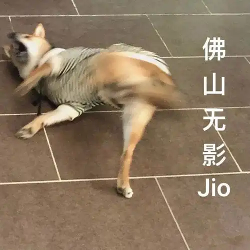 表情包愿世界不再有一分钱红包