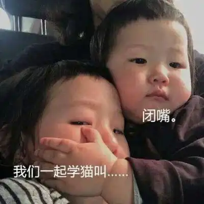 表情包别唱说出来