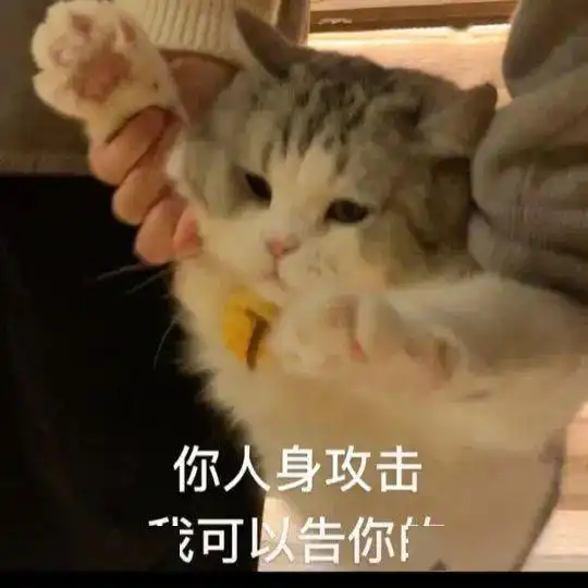 网红猫咪拖地猫大头表情包十二