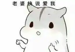 仓鼠夫君君表情图片下载仓鼠夫君妻奴表情包无水印版下载飞翔下载