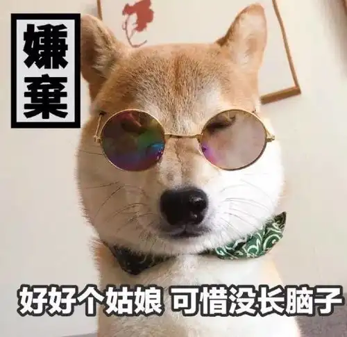 表情包一只叫做芋圆的魔性柴犬