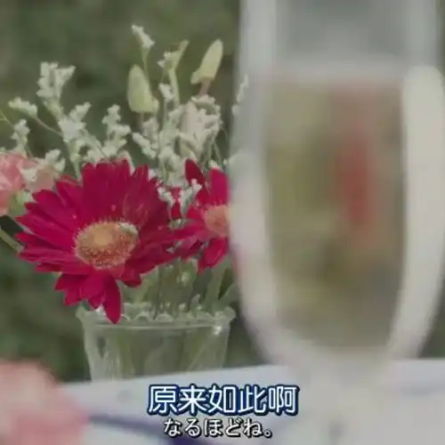 原来猪看杀猪表情包值一万块哎