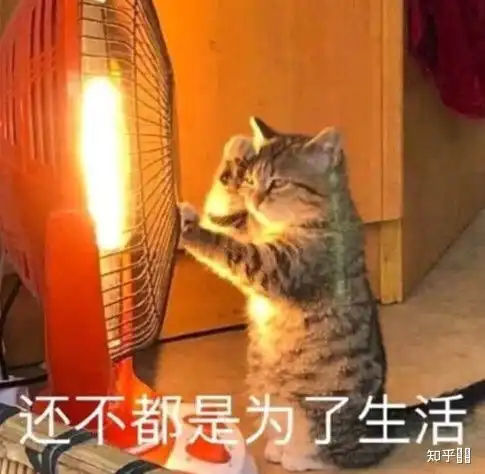上海交通大学的男生和华东师范大学的女生恋爱是一种怎样的体验