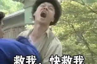 没错是我玩游戏的心情,你为什么不团