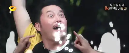 各大综艺都利用沙溢惨人设,跑男却被网友们吐槽,向往出新表情包
