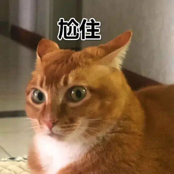 猫用屁股对着我,真的要舔一下吗