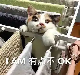 编辑部翻包9000的编辑们到底在用什么美妆好物一文末有福利