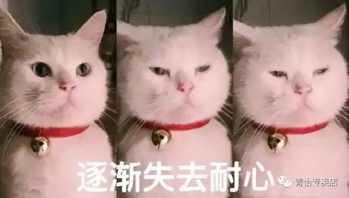 洗发水选这些,头发蓬松柔顺一整天