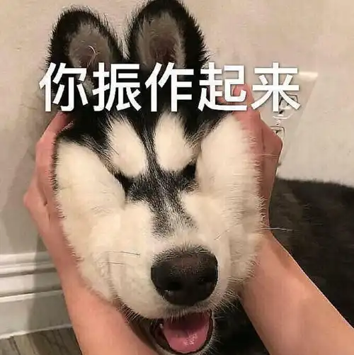 转换保卖我老婆入坑了