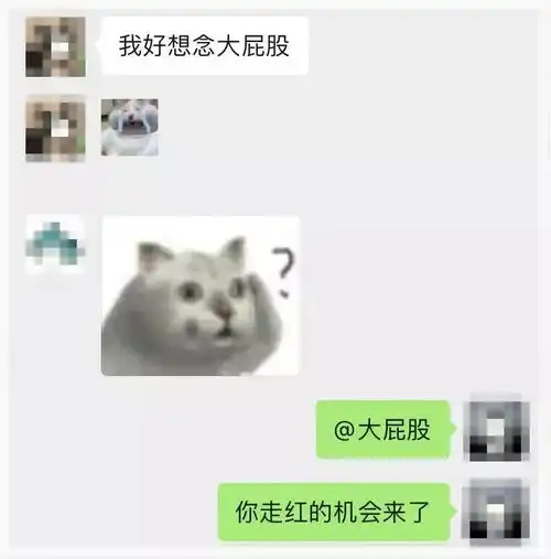 新一代憨王表情包智障mur猫的出位史对话