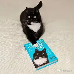 吓死宝宝了警长猫瞪眼爱吐舌,靠颜值吃饭吸粉25万