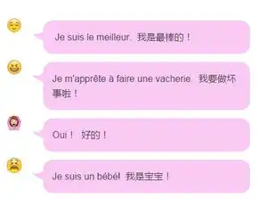 常用的表情包在法语里都是啥意思