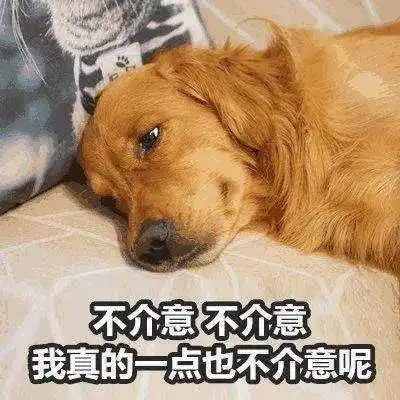 最强沙尘暴,望鄂兴叹