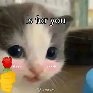 拍一张春天花花壁纸